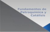 Fundamentos de Petroquímica y Catálisis