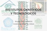 INSTITUTOS CIENTIFICOS Y TECNOLOGICOS