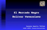 Bolivar Venezolano - Susana Huerta