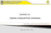 1.) Tejido Conjuntivo - Prof. José Romero