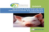 BP PRODUCCION GRANJAS PORCINAS