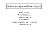 abdomen agudo ginecologico