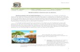 Guia " Biodiversidad y factores que la afectan"
