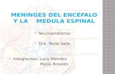 Presentacion d La Expo Meninges Del Encefalo y La Medula Espinal[1]