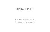 EXPOSICION HIDRAULICA II