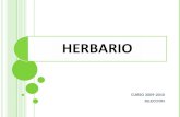Herbario Para Alumnos 2011