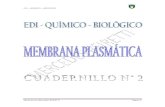 EDI quimico biologico N° 2 MEMBRANA PLASMÁTICA