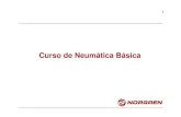 Neumatica Basica - Norgren