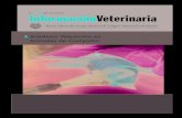 anestesia veterinaria en animales de compañia