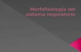 Morfofisiología del sistema respiratorio