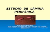 Estudio de Lámina Périferica-dr roldan