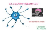 El Sistema Nervioso Primaria