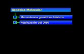 Mecanismos Geneticos Basicos Replicacion