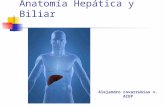 Patología Biliar y Hepatica