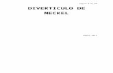 DIVERTICULO DE MECKELL