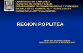 16.) Región Sural y Poplítea - Prof. María Lüdert