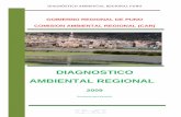 DiagnsticoAmbientalRegionalCARPuno(Set 2009)