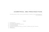 Método Control Proyectos EVA Paper