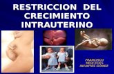 Restriccion Crecimiento Fetal DR PANCHITO