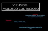 Virus de Molusco Contagioso