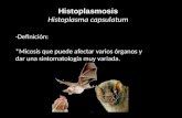 Histoplasmosis capsulatum. microbiologia