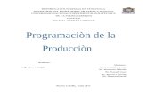 Programa de La Produccion