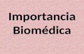 Importancia Biomédica