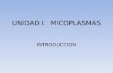 UNIDAD I. MICOPLASMAS