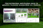 Herramientas selvicolas para la gestión forestal sostenible en Galicia