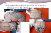 Anatomia Patologia Practica - Macro 1er Parcial