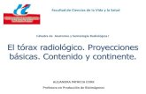 5. El tórax radiológico. Proyecciones básicas. Contenido y continente
