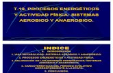 T.19.PROCESOS ENERGÉTICOS Y ACTIVIDAD FÍSICA: SISTEMAS AEROBICO Y ANAEROBICO