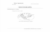 Monografia Tito Spаtola