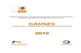 Causes 2010 y Anexos