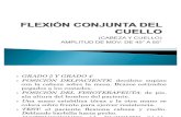 FLEXIÓN CONJUNTA DEL CUELLO