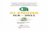 Perfil Del Enuma 2011