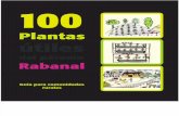100 Plantas útiles del páramo Rabanal, guía para comunidades rurales