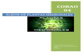 Album de Plantas Medic in Ales