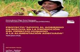 Bolivia Report 2010 Informe-final