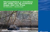 Humedales y Medios de Vida en La Cuenca Baja Del Rio Paz El Salvador-guatemala