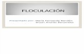 Floculacion by Dexs