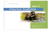 Homo Habilis 3.0