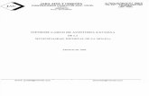 Informe Largo Auditoria Externa Ejercicio 2005