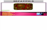 Hepatitis b Diapositiva