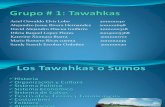 Los Tawahkas o Sumos