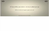 clasificacion microbiana