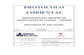 VIEDMA CONESA - Protocolo Ambiental - Rev 0