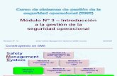 OACI SMS M03 – Gestión (R13) 09 (S)