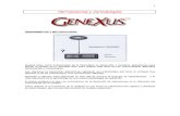 Diseño de Aplicaciones GeneXus Apunte 1