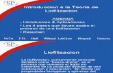 Liofilización PDF